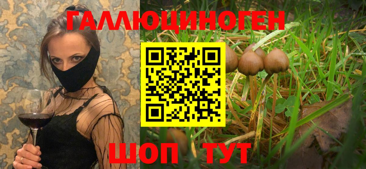 Псилоцибиновые грибы мицелий Наро-Фоминск